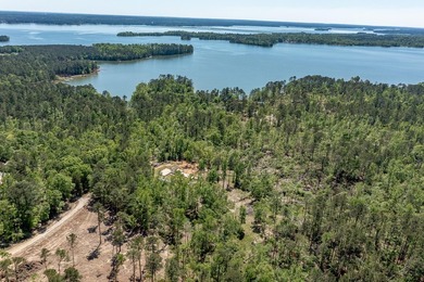 Rare Dockable 11 Acre Waterfront Property on Clarks Hill Lake - - photo 24