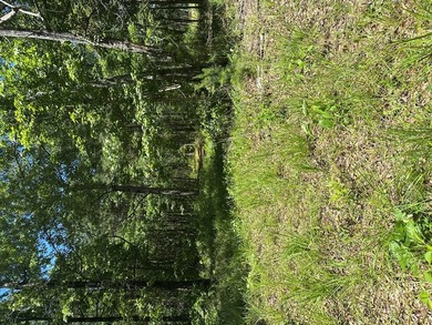 Tract 117 Eagles Landing - Immerse yourself in the joys of - photo 24