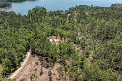 Rare Dockable 11 Acre Waterfront Property on Clarks Hill Lake - - photo 25