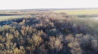 Highlights: -33.8 Acres (Surveyed Within The Last 30 Days) - photo 25