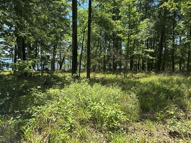 Tract 117 Eagles Landing - Immerse yourself in the joys of - photo 25