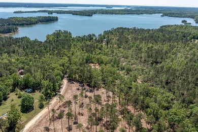 Rare Dockable 11 Acre Waterfront Property on Clarks Hill Lake - - photo 26