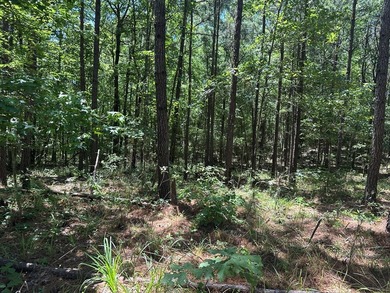 Tract 117 Eagles Landing - Immerse yourself in the joys of - photo 26