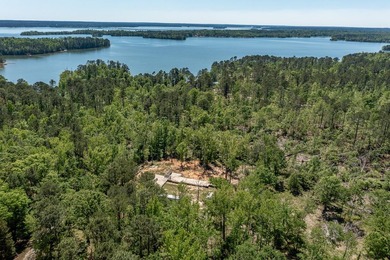 Rare Dockable 11 Acre Waterfront Property on Clarks Hill Lake - - photo 27