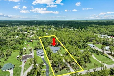 This Brand New Construction Home in Golden Gate Estates is - photo 41