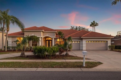 Lake Home For Sale in Palm Harbor, Florida