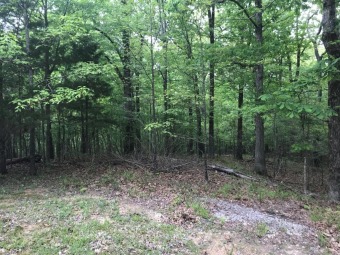 Sardis Lake Lot For Sale in Oxford Mississippi