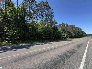 Escape to Northern Michigan and discover nearly 16 acres of - photo 3