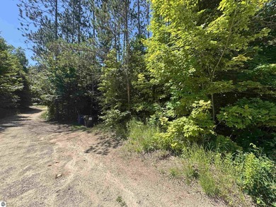 Escape to Northern Michigan and discover nearly 16 acres of - photo 4