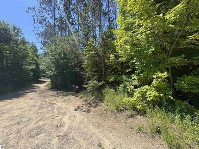 Escape to Northern Michigan and discover nearly 16 acres of - photo 5