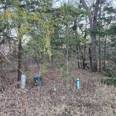 Nice lot close to the lake, build your home in a lake front - photo 3