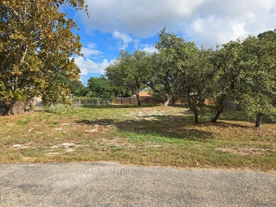 Over sized lot to build your new coastal home! 73 wide x 125 - photo 3