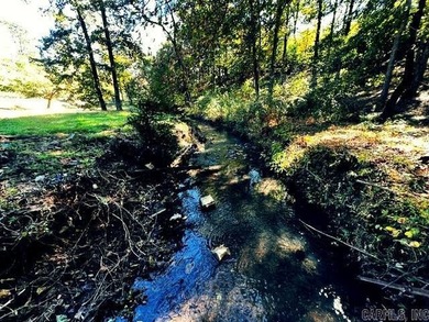 Almost 2 acres in LHSD! Excellent Income Producing with room to - photo 11