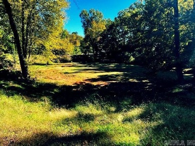 Almost 2 acres in LHSD! Excellent Income Producing with room to - photo 12