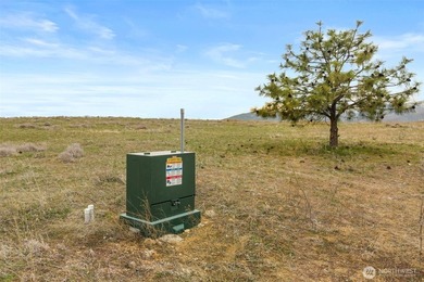Welcome to 331 Rancho Perri Lane (Lot 2). 9.71 acres of open - photo 12