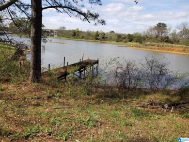 Great investment opportunity with water frontage on Logan Martin - Lake Acreage For Sale in Lincoln, Alabama