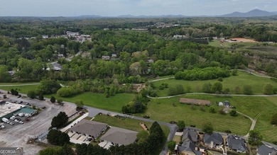 Welcome home to this amazing townhouse inside the city limits of - photo 47