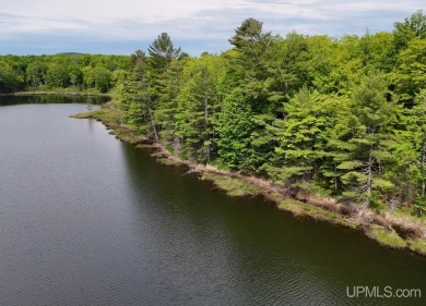 Lake Acreage For Sale in Toivola, Michigan