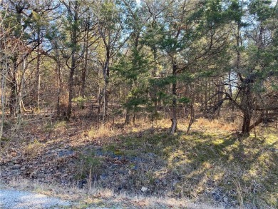 Table Rock Lake - Carroll County Lot For Sale in Holiday Island Arkansas