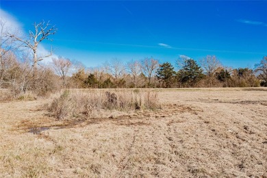 Come see this beautiful half-acre lot, ready for your dream - photo 15
