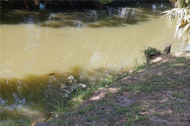 Nice Waterfront house. The canal is not big enough for a power - photo 26