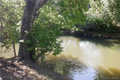 Nice Waterfront house. The canal is not big enough for a power - photo 29