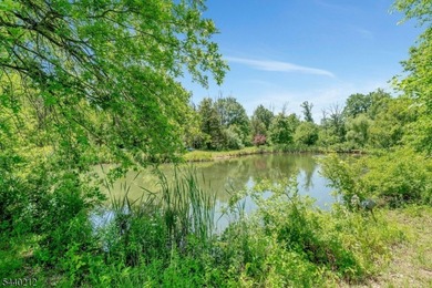 A rare opportunity to own a truly unique multi-use property set - photo 31