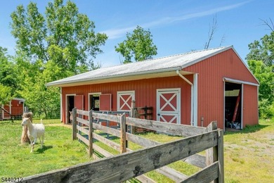 A rare opportunity to own a truly unique multi-use property set - photo 38