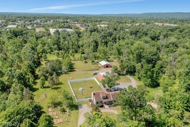A rare opportunity to own a truly unique multi-use property set - photo 41