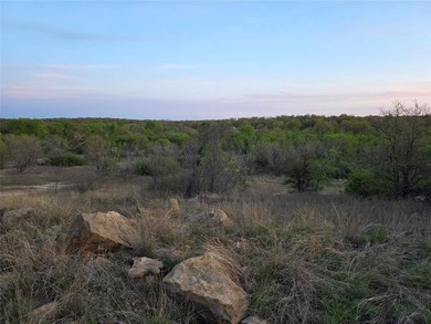 (private lake, pond, coastal) Acreage For Sale in Gorman Texas