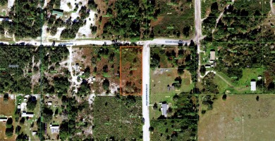 Lizzie Lake Lot For Sale in Lake Wales Florida