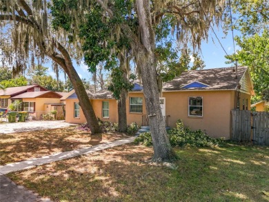 (private lake, pond, creek) Home For Sale in Leesburg Florida