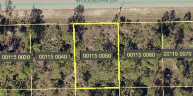 Lehigh Acres Area Lot For Sale in Lehigh Acres Florida