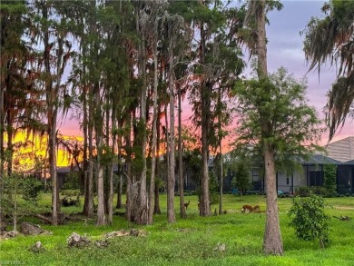 Lake Condo For Sale in Ave Maria, Florida