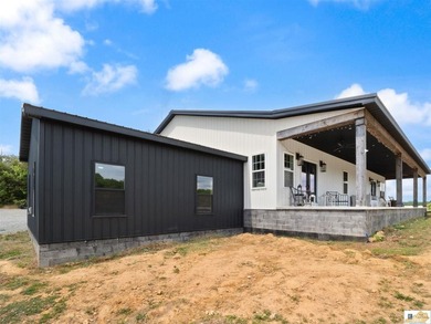$10,000 concession is offered at closing for grass and - photo 2