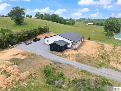 $10,000 concession is offered at closing for grass and - photo 5