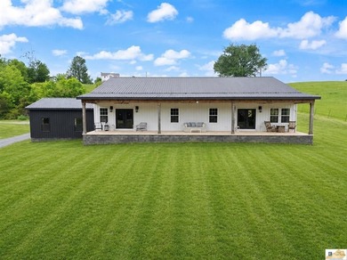 $10,000 concession is offered at closing for grass and - photo 6