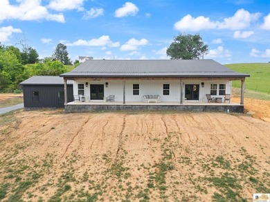 $10,000 concession is offered at closing for grass and - photo 7