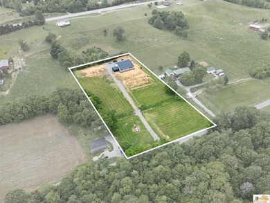 $10,000 concession is offered at closing for grass and - photo 8