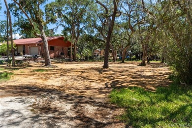 Own your own piece of paradise in Old Homosassa! This ideal - photo 12