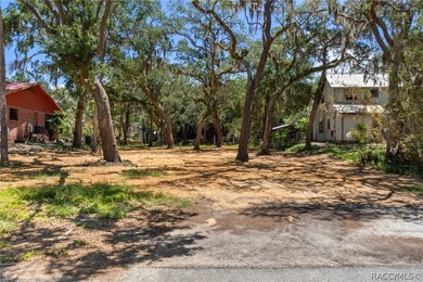 Own your own piece of paradise in Old Homosassa! This ideal - photo 13