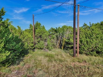 Nestled just off Tin Top Hwy in sought-after Granbury, Texas - photo 3