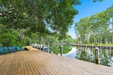 Experience nature up close on Bayou Bonfouca! Three - photo 25