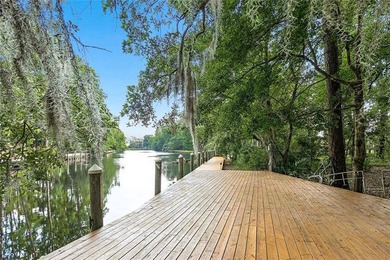 Experience nature up close on Bayou Bonfouca! Three - photo 27