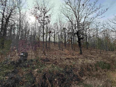 (private lake, pond, creek) Acreage For Sale in Austin Arkansas