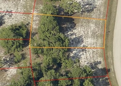 Cape Coral Area Lot For Sale in Cape Coral Florida