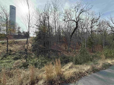 (private lake, pond, creek) Lot For Sale in Austin Arkansas