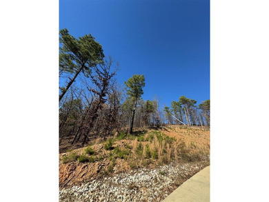 For Sale: A 1.079-acre lot in the desirable Western Hills - photo 3
