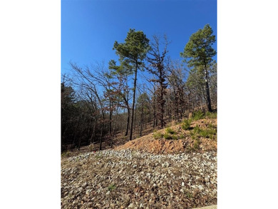 For Sale: A 1.079-acre lot in the desirable Western Hills - photo 4