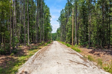 Discover the perfect setting for your dream home on this - photo 1